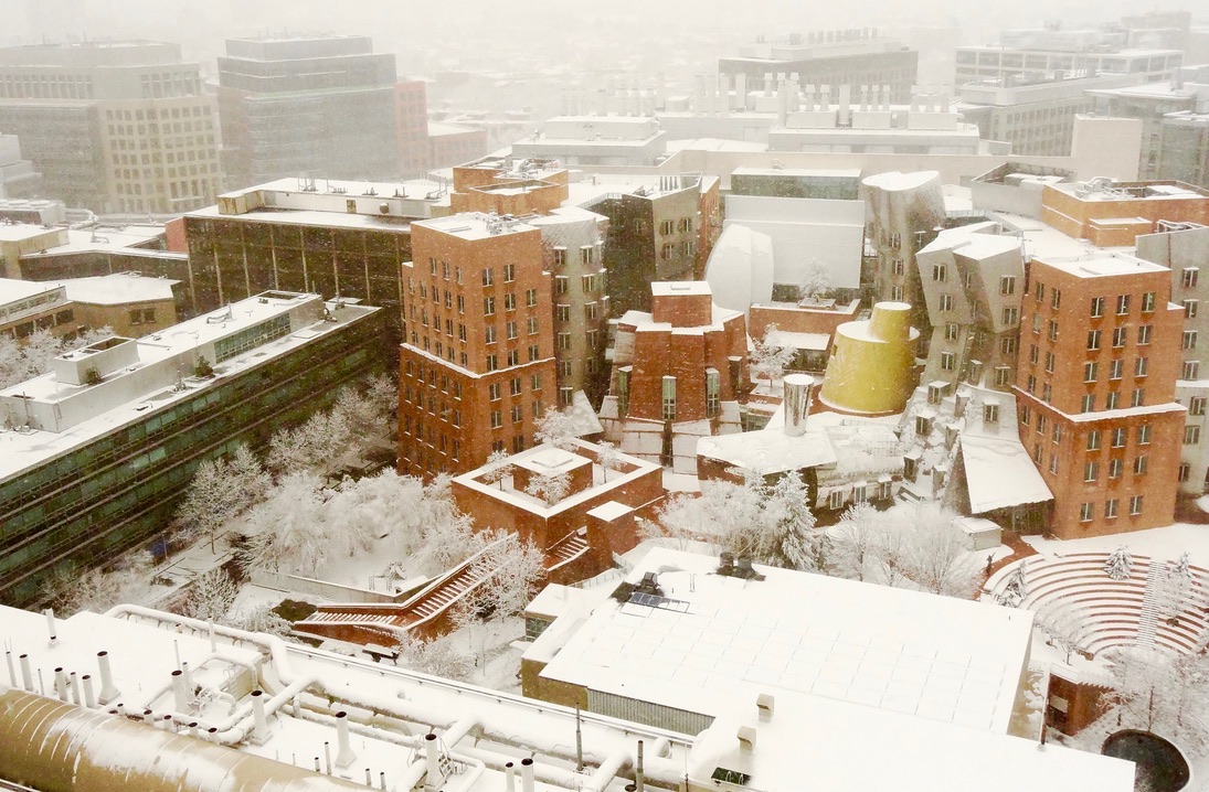Ray and Maria Stata Center in winter